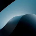 Volkswagen's Big Reality Check